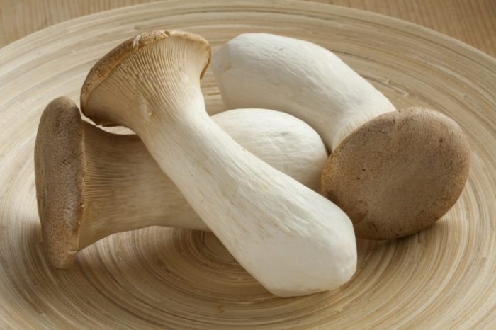 How to cook king oyster mushrooms chinese style