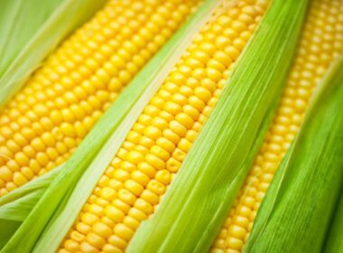 How to cook sweet corn indian style