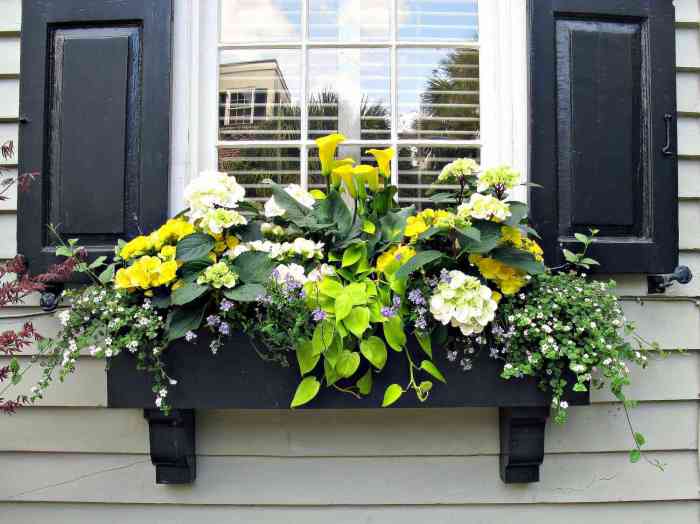 How to decorate a box window