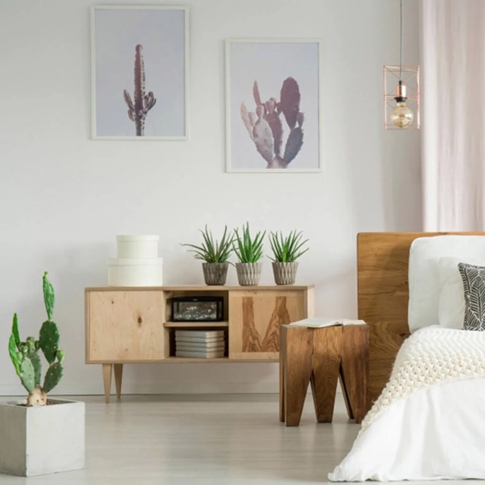 How to decorate living room with catus canvas